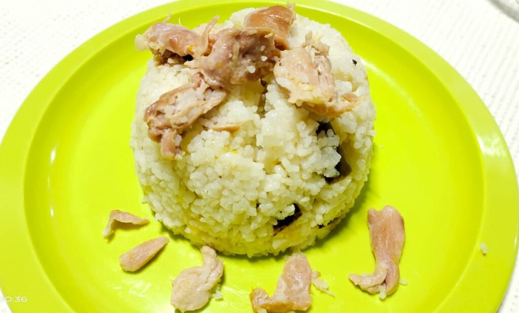 Boneless Chicken Rice (for puppies)